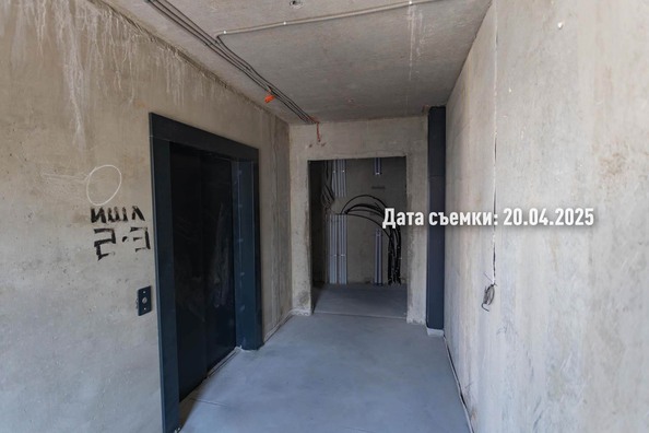 25 апреля 2025