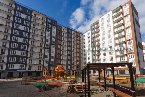 24 октября 2025