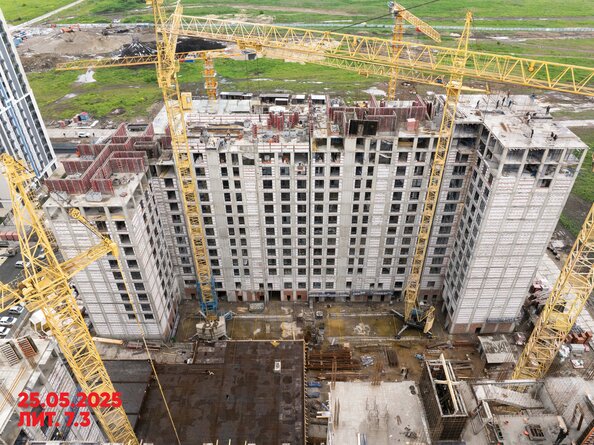 29 мая 2025