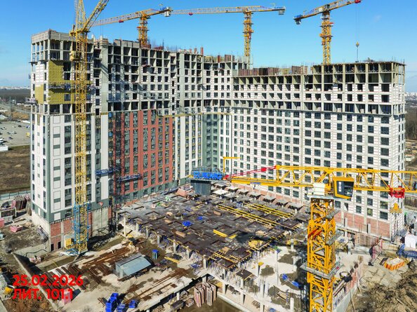 26 февраля 2026