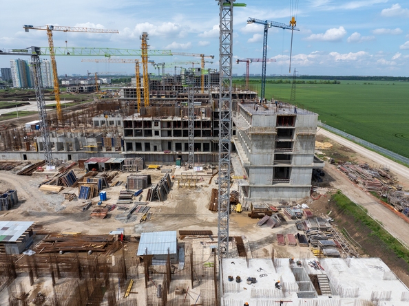 29 мая 2025