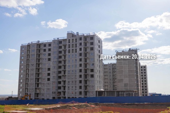 25 апреля 2025