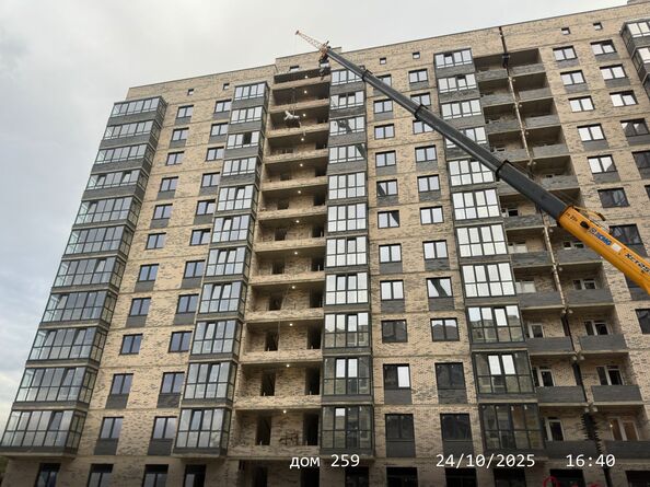 24 октября 2025