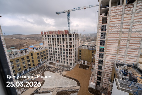25 марта 2026