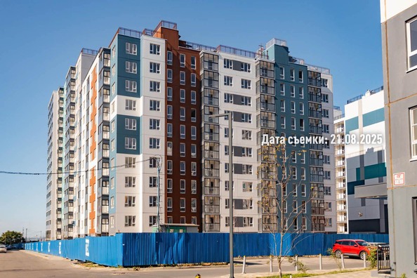 26 августа 2025