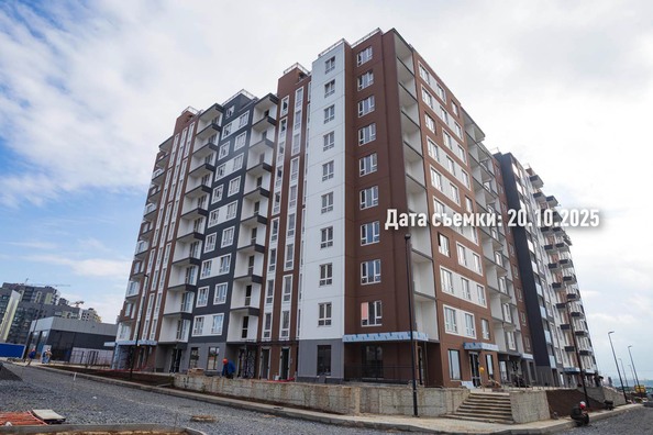 24 октября 2025