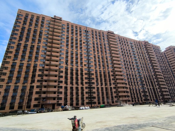 29 октября 2025