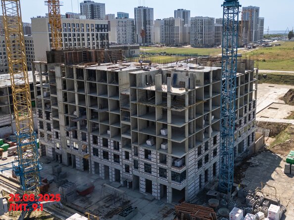 26 августа 2025