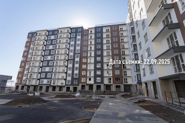 26 сентября 2025