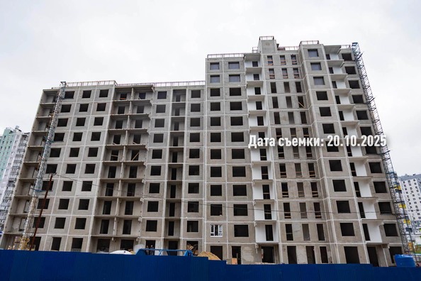 24 октября 2025