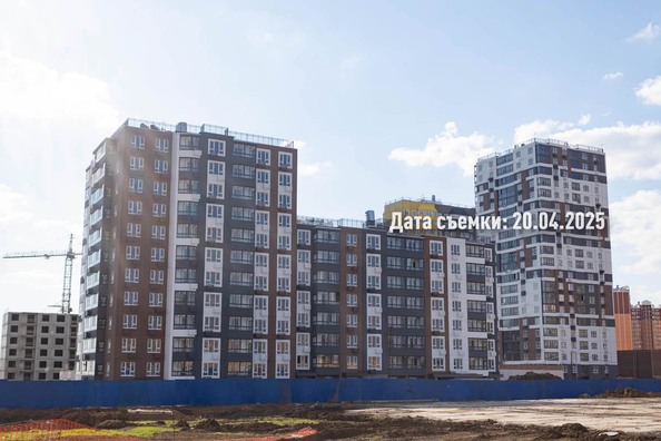 25 апреля 2025