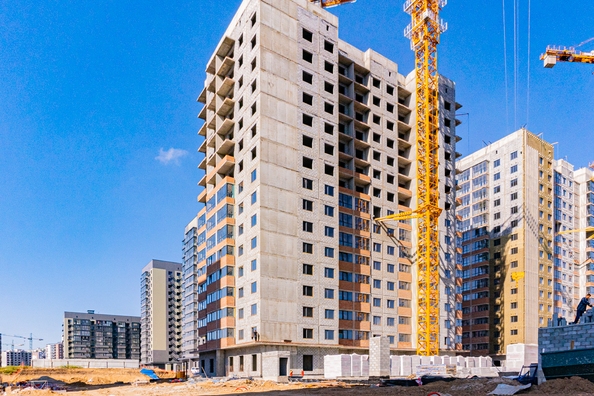 29 сентября 2025