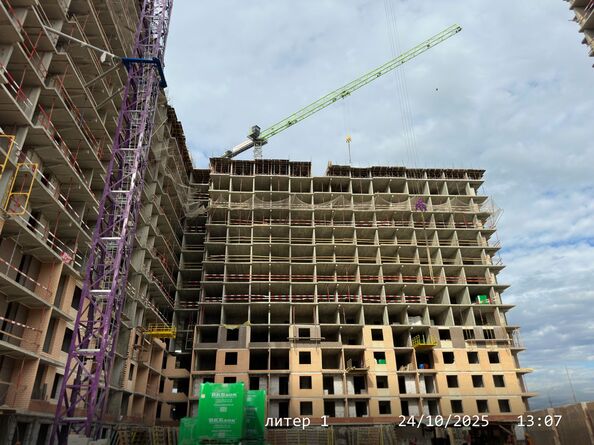 24 октября 2025