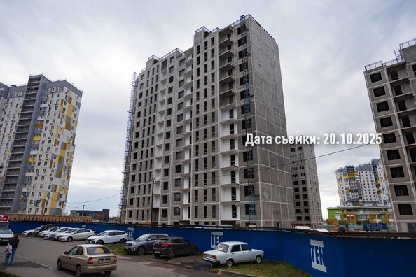 24 октября 2025