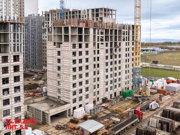 28 октября 2025