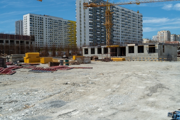 28 мая 2025
