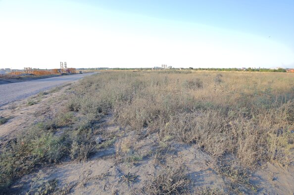 4 сентября 2025