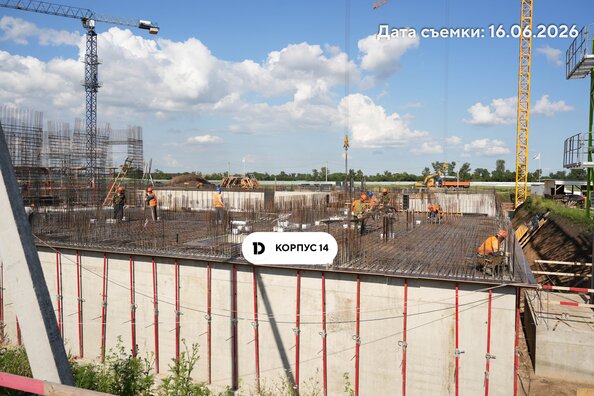 29 июня 2026