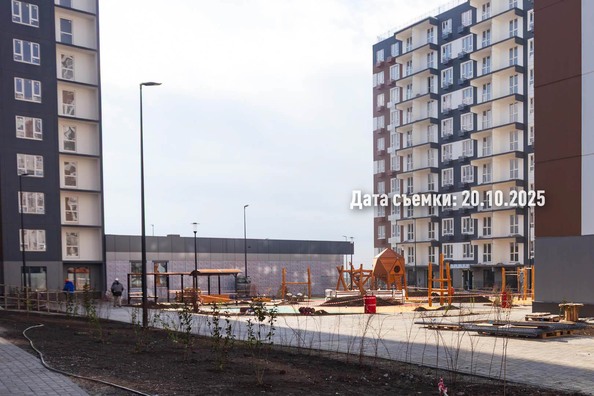 24 октября 2025