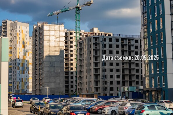 26 мая 2025