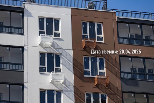 25 апреля 2025