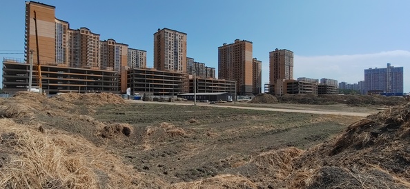 28 августа 2025