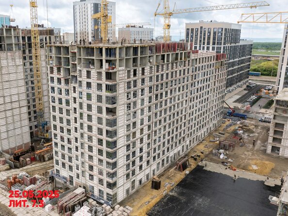 29 мая 2025