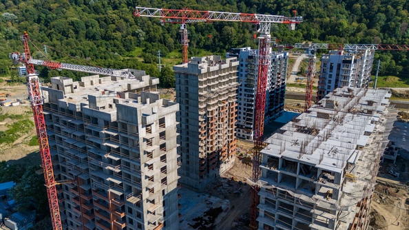 25 июля 2025