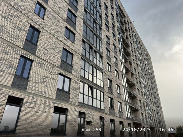 24 октября 2025