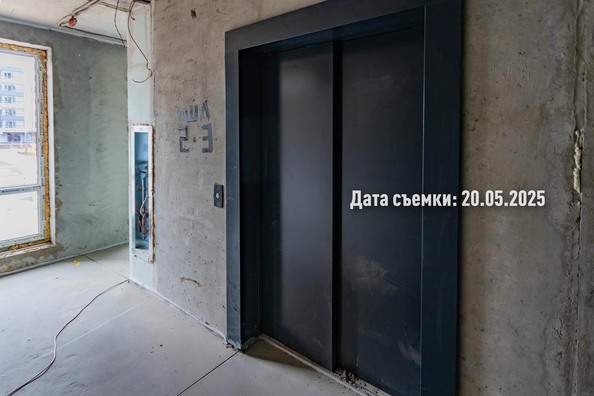 26 мая 2025