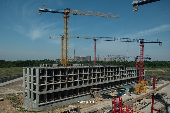 29 июля 2026