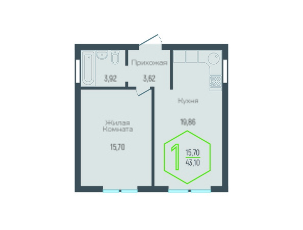 Планировка 1-комн 43 м²