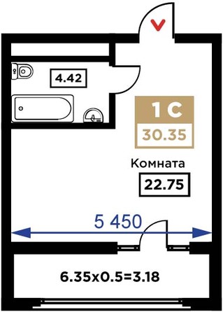 Планировка Доля в квартире 30,35 м²