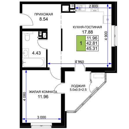 Планировка 1-комн 45,31 м²