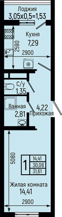 Планировка 1-комн 31,61 м²