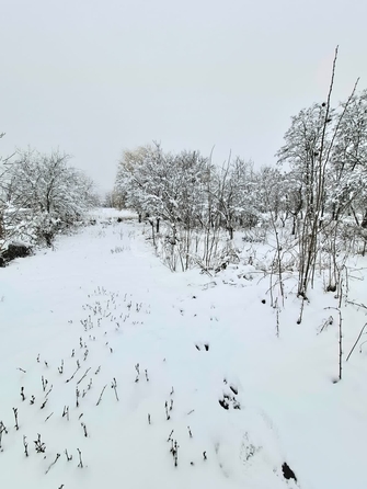 
  Продам  участок ИЖС, 15.9 соток, Гавердовский

. Фото 4.