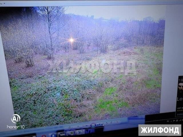 
  Продам  дачный участок Детляжка

. Фото 3.