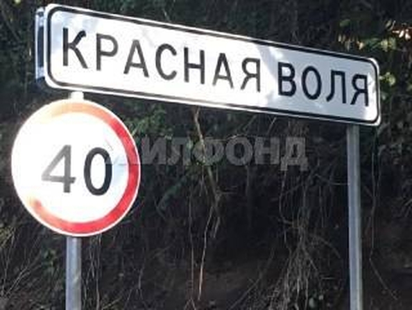
  Продам  дачный участок Красная Воля

. Фото 4.