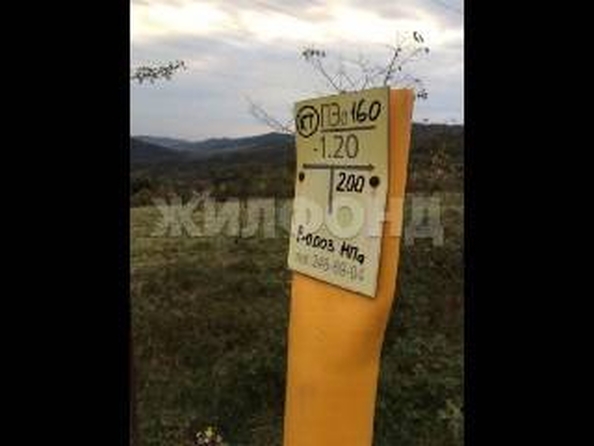 
  Продам  дачный участок Красная Воля

. Фото 7.