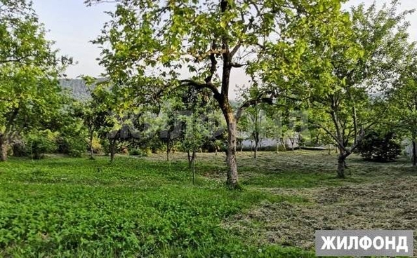 
  Продам  дачный участок Красная Воля

. Фото 1.