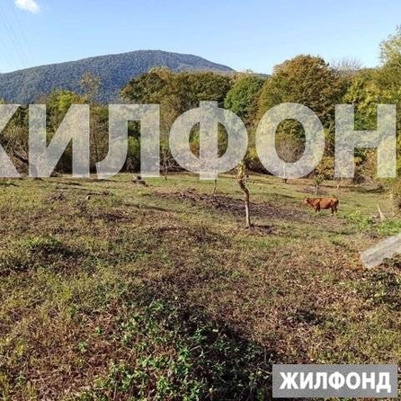 
  Продам  дачный участок Красная Воля

. Фото 1.