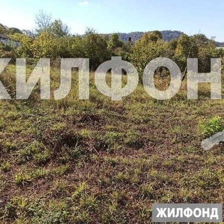 
  Продам  дачный участок Красная Воля

. Фото 2.