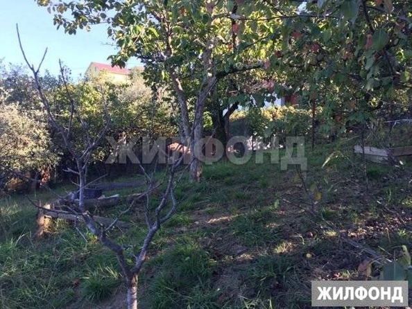 
  Продам  дачный участок Сочи

. Фото 3.