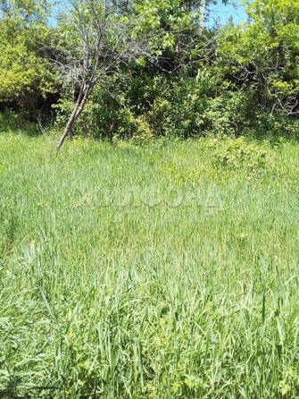 
  Продам  дачный участок Горное Лоо

. Фото 2.