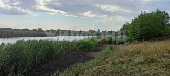 
  Продам  дачный участок Новобейсугская

. Фото 7.