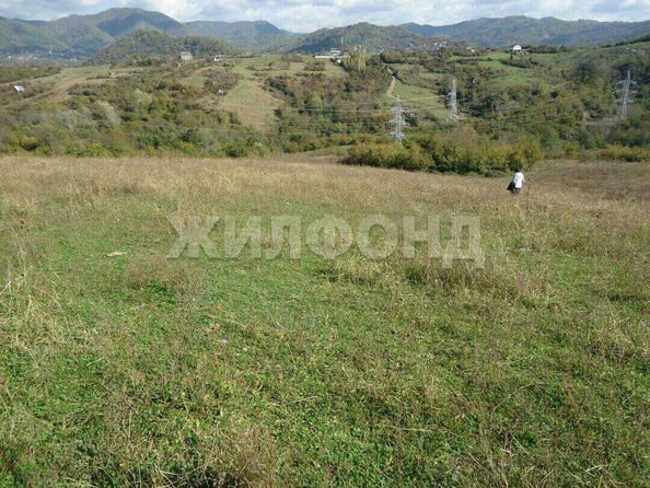 
  Продам  дачный участок Сочи

. Фото 1.