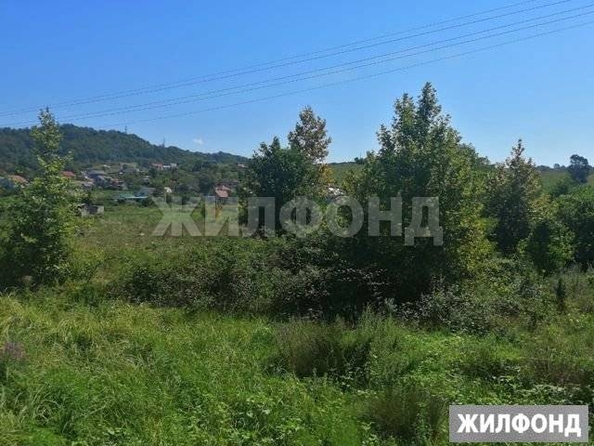 
  Продам  дачный участок Сочи

. Фото 1.