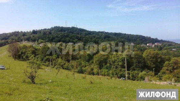 
  Продам  дачный участок Сочи

. Фото 3.