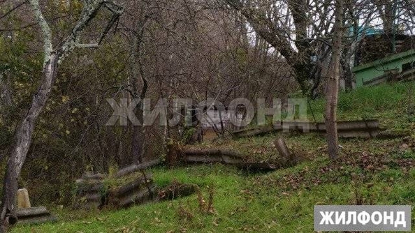 
  Продам  дачный участок Богушевка

. Фото 4.