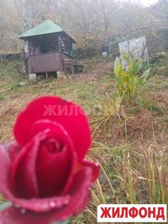 
  Продам  дачный участок Сочи

. Фото 1.